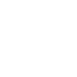 BMW_F4LLCON's emblem