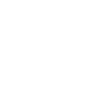 GT-I-1111's emblem