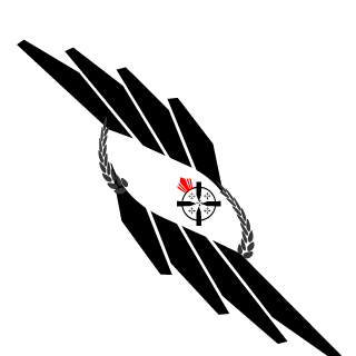 paiN-privacyGG's emblem