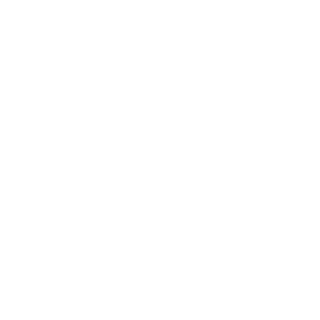 Arslann46's emblem