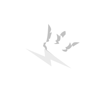 Excalibur8681's emblem