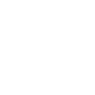 XnoobskilledX's emblem