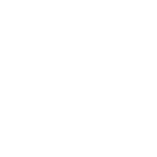NzT Weber's emblem