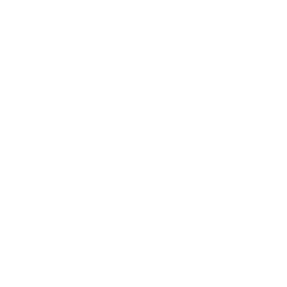 indosilver's emblem