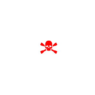 Ra1der_Pr0's emblem
