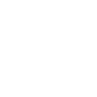 mentalshape's emblem