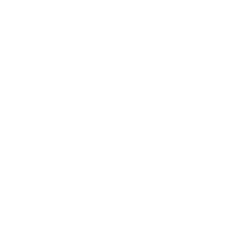 ninjulsu's emblem