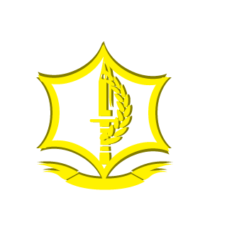 Kostya_B_333's emblem