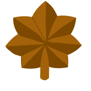 MajAssault's emblem