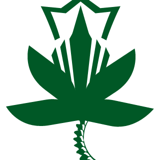 2curious's emblem