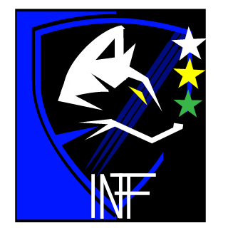 - INFINITY BRAZIL -'s emblem