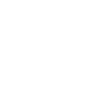 Joao_hyg's emblem