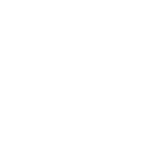 CT_MeXaHuK's emblem