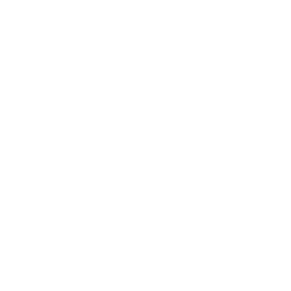 TheGandro's emblem