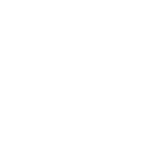 NightWishww's emblem