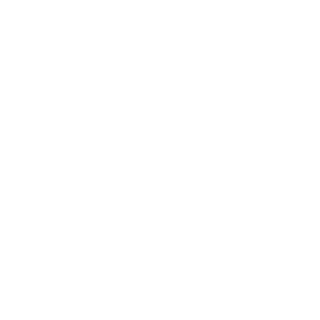 H-8242's emblem