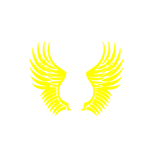 DDoSinaIdiNaHuy's emblem