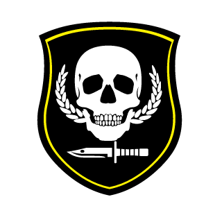 AaronCL99's emblem