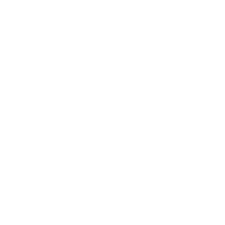 xNOISYxBOYx's emblem