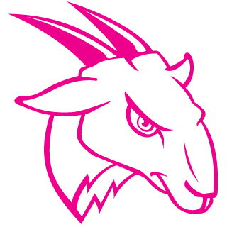 DayOneNoob's emblem