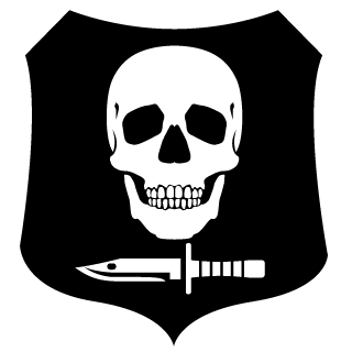 dasmart38rus's emblem