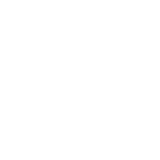 Stalker_2903_1's emblem