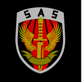 blackmask741's emblem