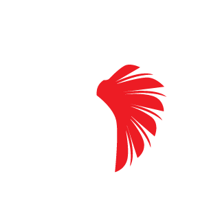 BanArdd's emblem