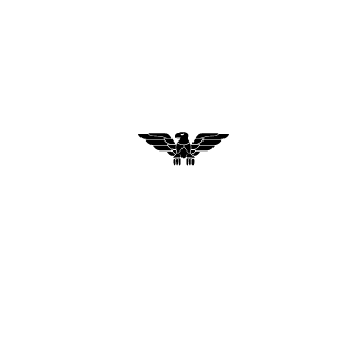 TruthL1ves's emblem