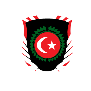Darthur9798's emblem