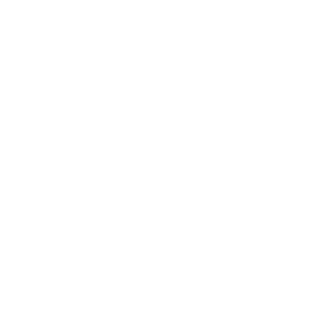 DubstepFizzer's emblem