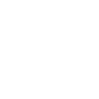 H11001010110's emblem