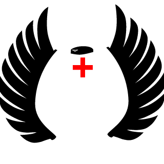 DustyyDoge's emblem