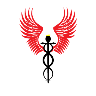 NDC020's emblem