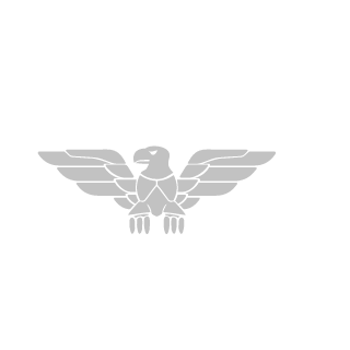 P4ul1to99's emblem