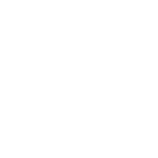 0Lion_Chen0's emblem