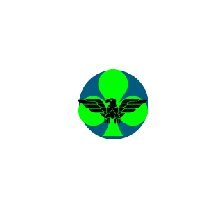 15kapitowka15's emblem
