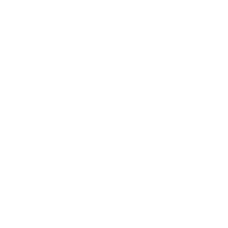 Destroyerdeer5's emblem