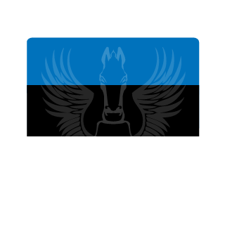 Siim159's emblem