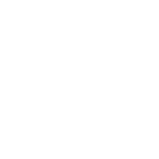 NinjaDominic's emblem