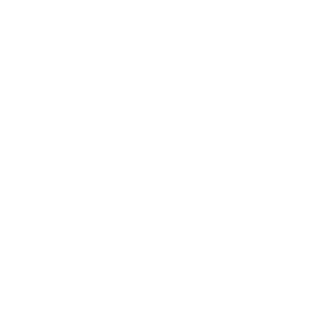 sylex840's emblem