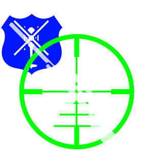 PaloozaNZ's emblem