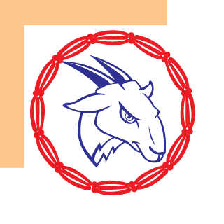 Gr0x9499's emblem