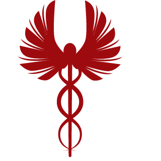 LEEMAN2017's emblem
