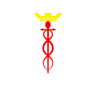 Hell_Hunter_PL's emblem