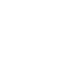 Gian-Juniior's emblem
