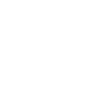 Nyztaq's emblem