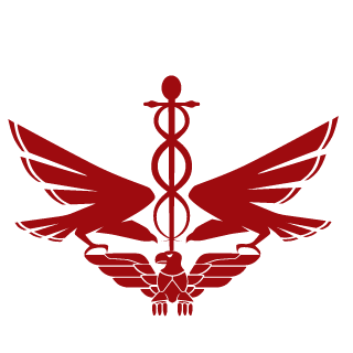 KLM601's emblem