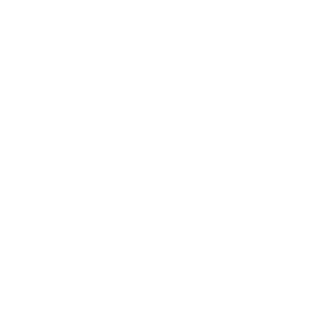 DWMbf3's emblem