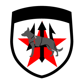 Task Force Black's emblem